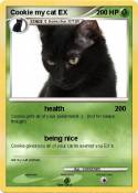 Cookie my cat
