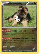 the smoll dog