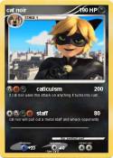 cat noir