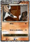Shrubbery cat