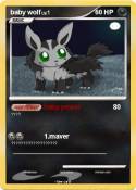 baby wolf