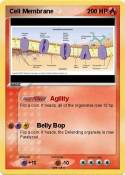 Cell Membrane