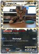 Angry Cat