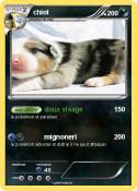 chiot