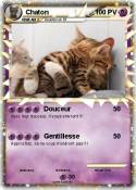 Chaton