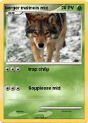 berger malinois