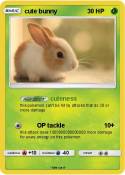 cute bunny