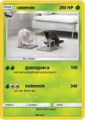 catamole