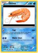 Shrimp