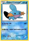 mudkip is aweso
