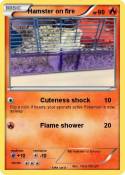 Hamster on fire