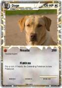 Doge