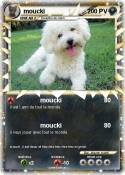 moucki