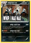 whip/nae nae