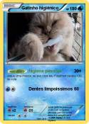 Gatinho