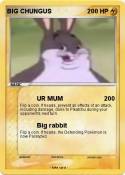 BIG CHUNGUS