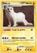 Chat