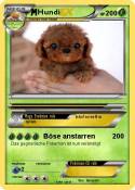 Hundi
