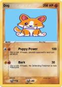 Dog