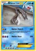 Watter cat