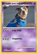 am'staffie avec