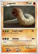 Lugworm