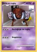 viszla en rugby