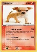Chihuahua