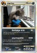 chat fou