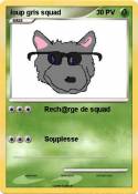 loup gris squad