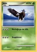 aigle