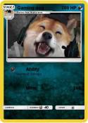 Gaming dog
