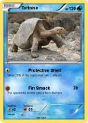 Tortoise