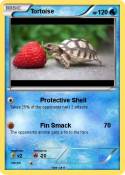 Tortoise