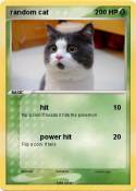 random cat