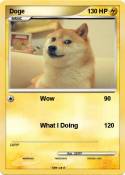 Doge