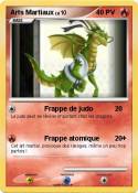 Arts Martiaux