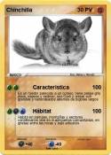 Chinchilla