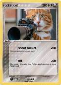 rocket cat
