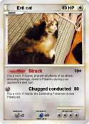 Evil cat