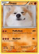 Chuppy