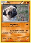 Pug