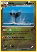 whale