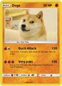 Doge