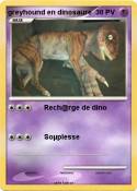 greyhound en