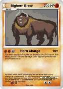 Bighorn Bison