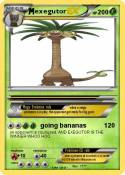 exegutor