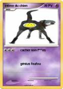 intime du chien