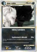 âme volée