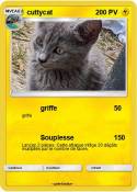 cuttycat